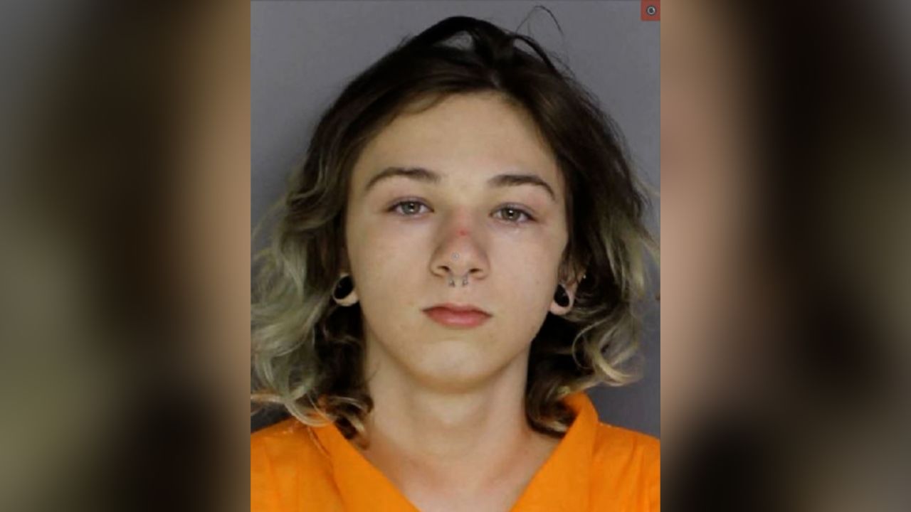 16-year-old confessed to killing a minor over Instagram: Pennsylvania police
