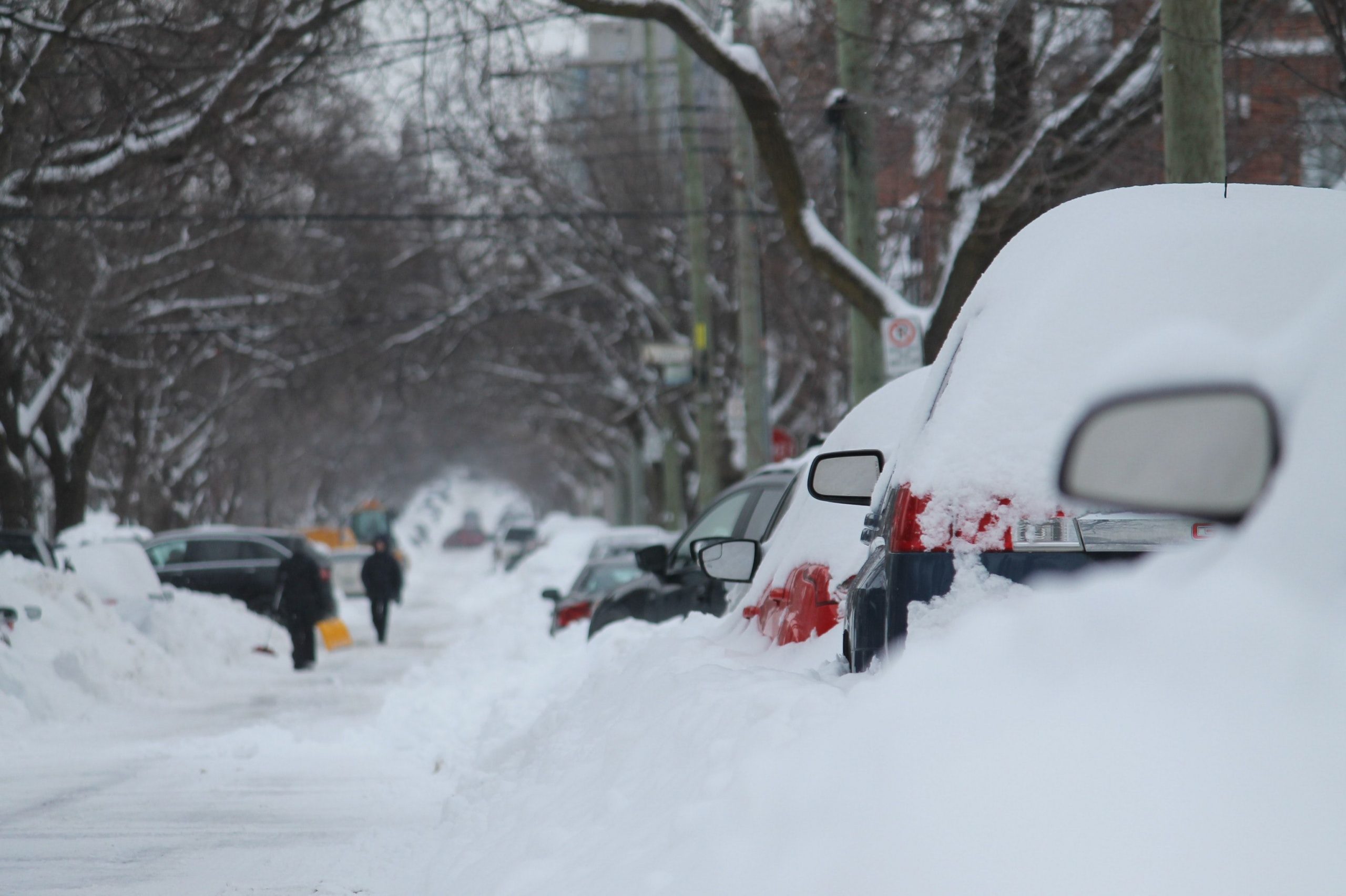 Winter storm leaves 37 dead across US, New York witnesses 43 inches of snow