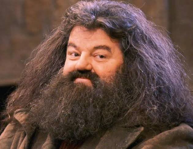 Robbie Coltrane death: 5 memorable Hagrid memes from the internet