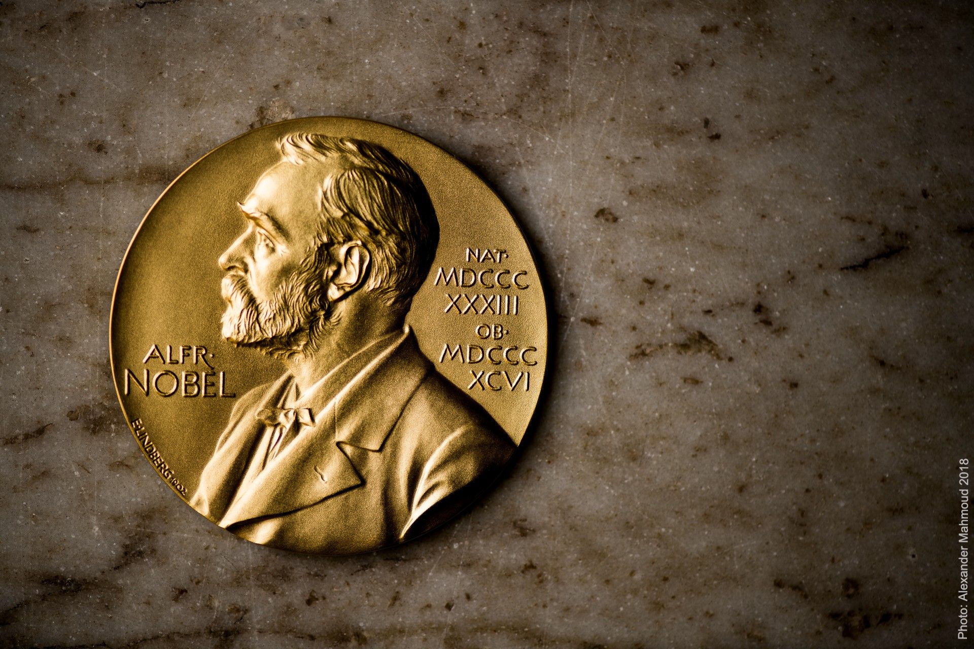 How do you win a Nobel Prize?