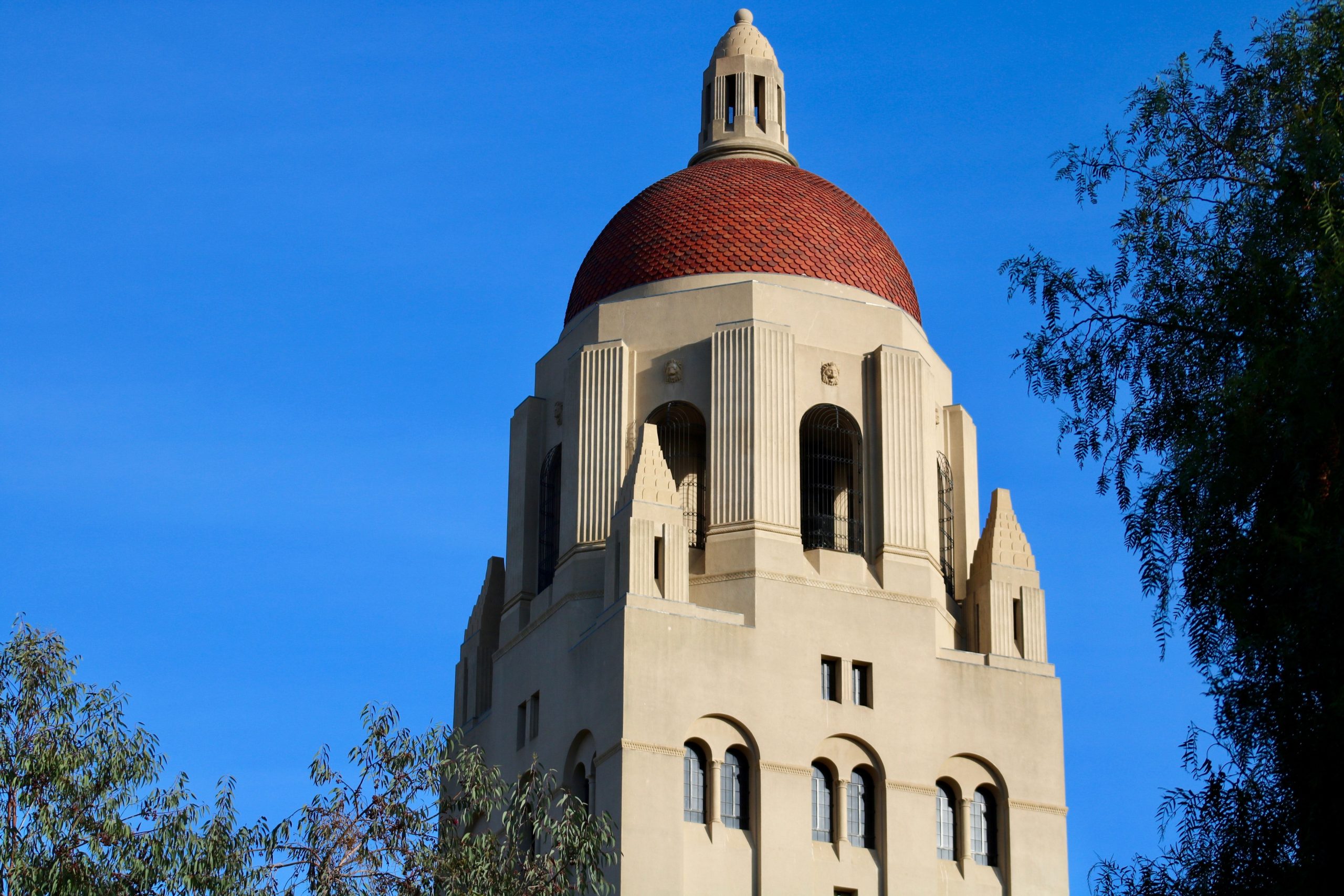 Stanford University mocked for putting ‘American’ on harmful words list