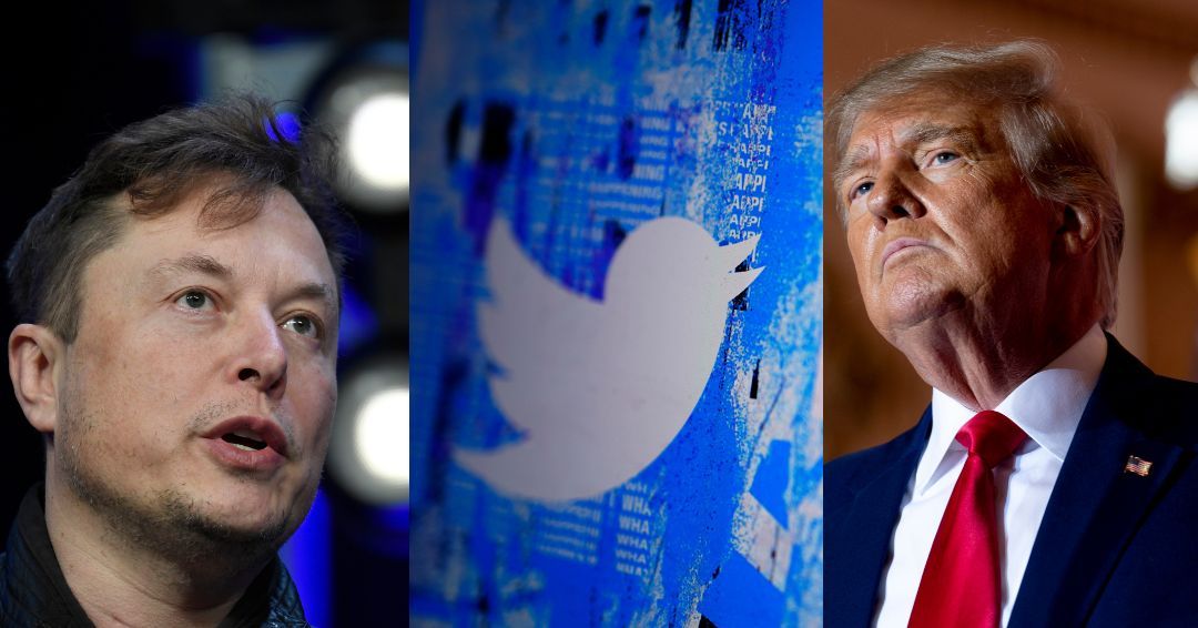 Musk says Trump Twitter comeback decision pending as Kathy Griffin, Jordan Peterson, Babylon Bee reinstated