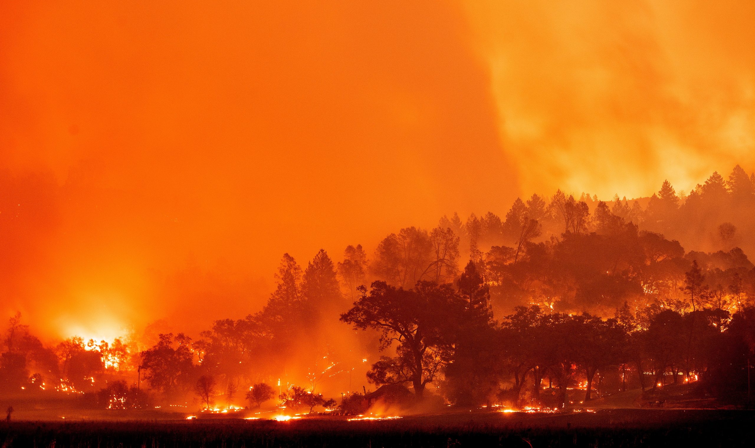 ‘Celebrated Napa wineries up in smoke’: Wildfire rip through California’s wine country
