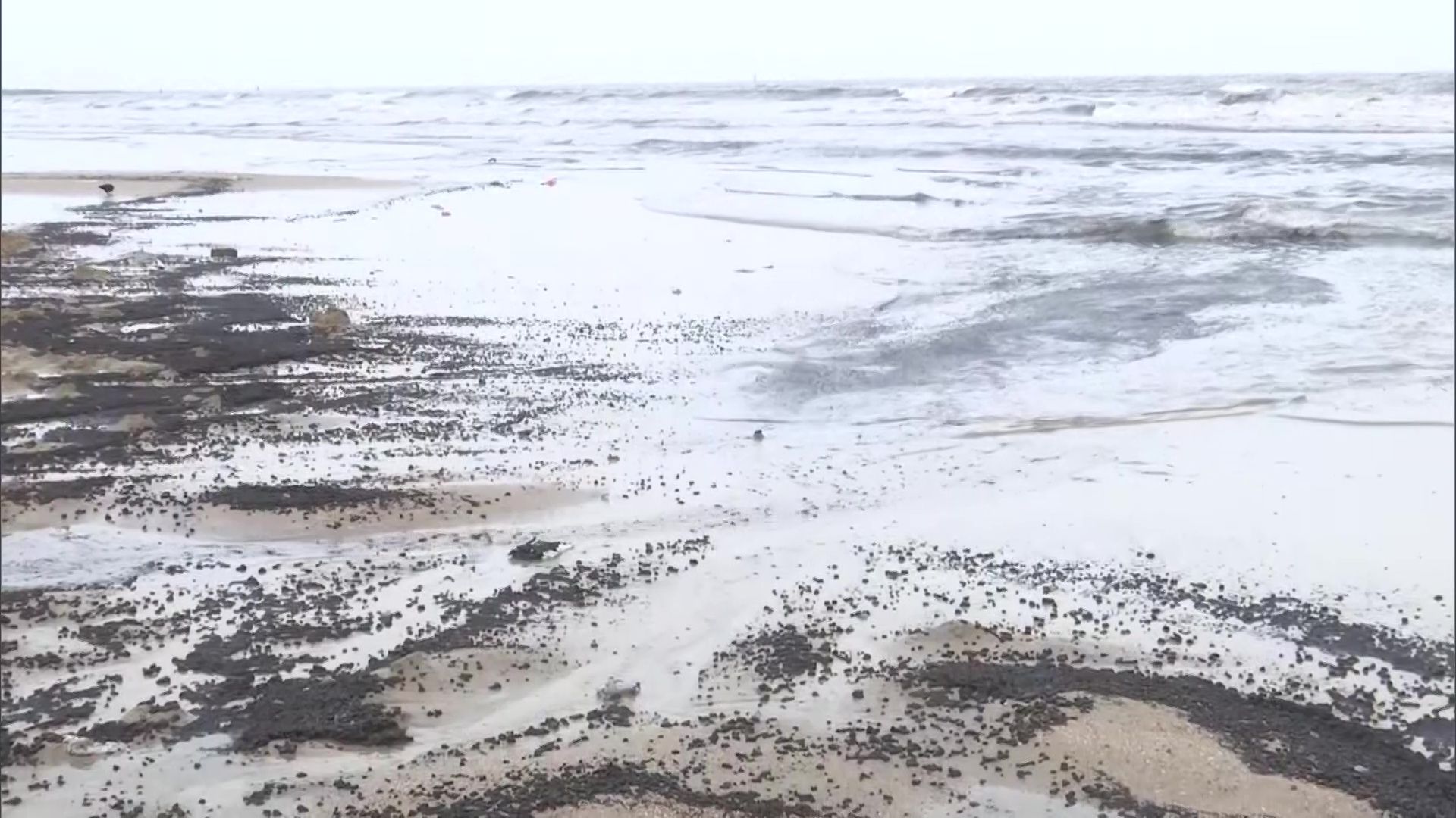 Watch | Sand at Mumbai’s Juhu beach turns black due to oil spill