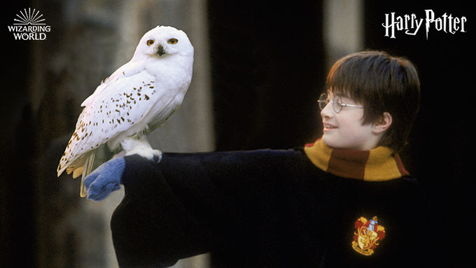 ‘Making of Harry Potter’ park to open in Tokyo in 2023