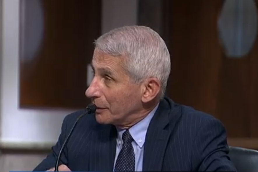 ‘COVID-19 vaccine trials could end early if results are overwhelming’: Anthony Fauci
