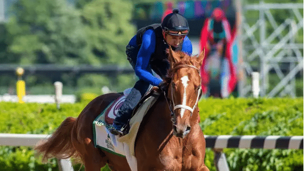 Belmont Stakes 2022: All you need to know about the horses
