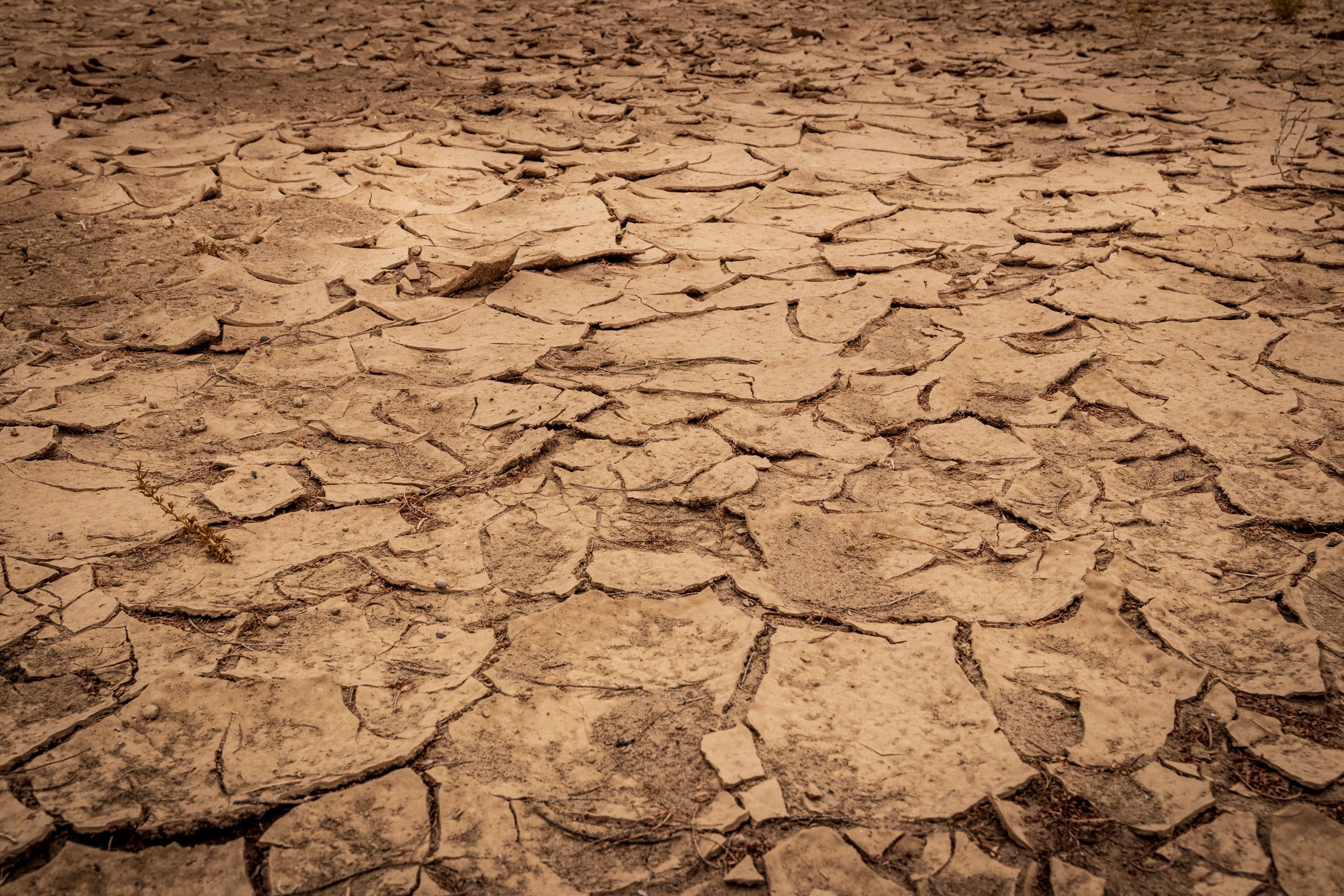 Hunger, drought, disease: UN climate report reveals dire health threats