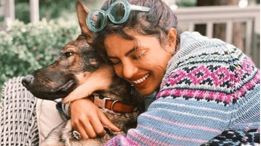 Priyanka Chopra and Nick Jonas introduce new rescue dog Panda on social media