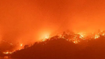 Donald Trump and Kamala Harris to visit California as wildfires rage