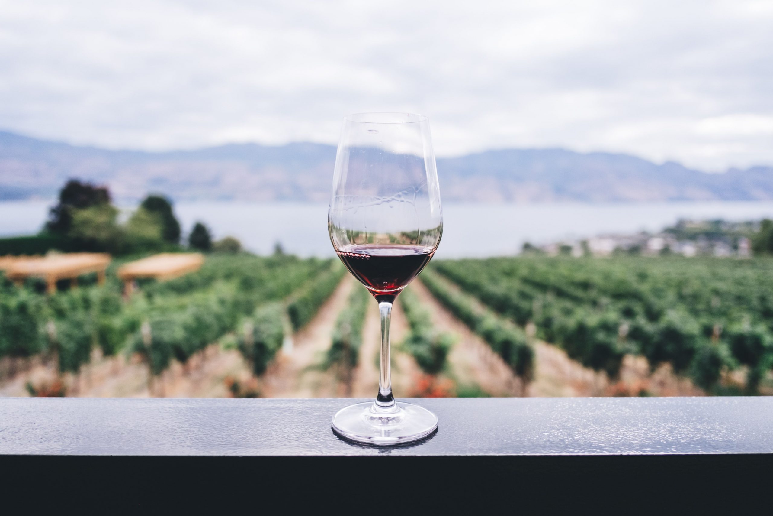 Can red wine prevent COVID-19? Chinese study claims it does