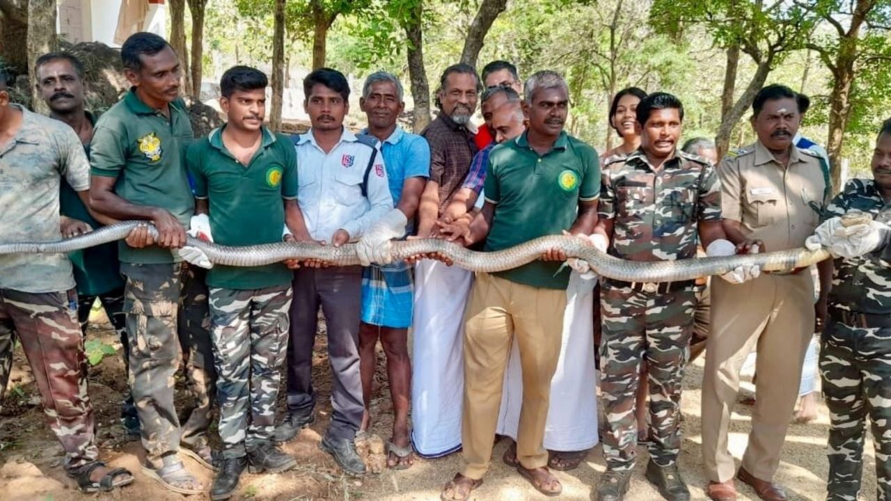 Zoho CEO Sridhar Vembu’s king cobra encounter is the new talk of the town