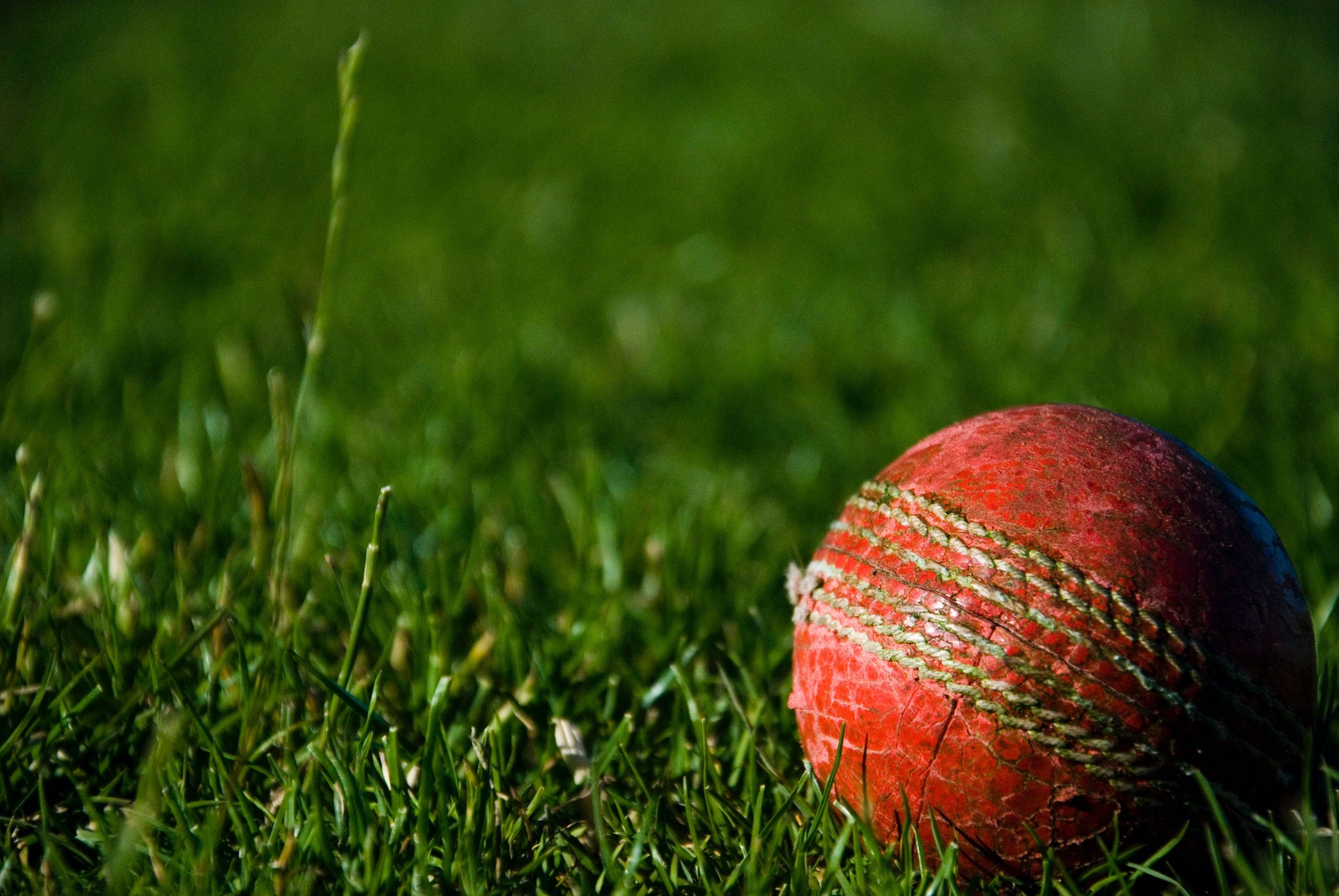 Knockout matches of the Vijay Hazare Trophy will be held in Delhi from March 7