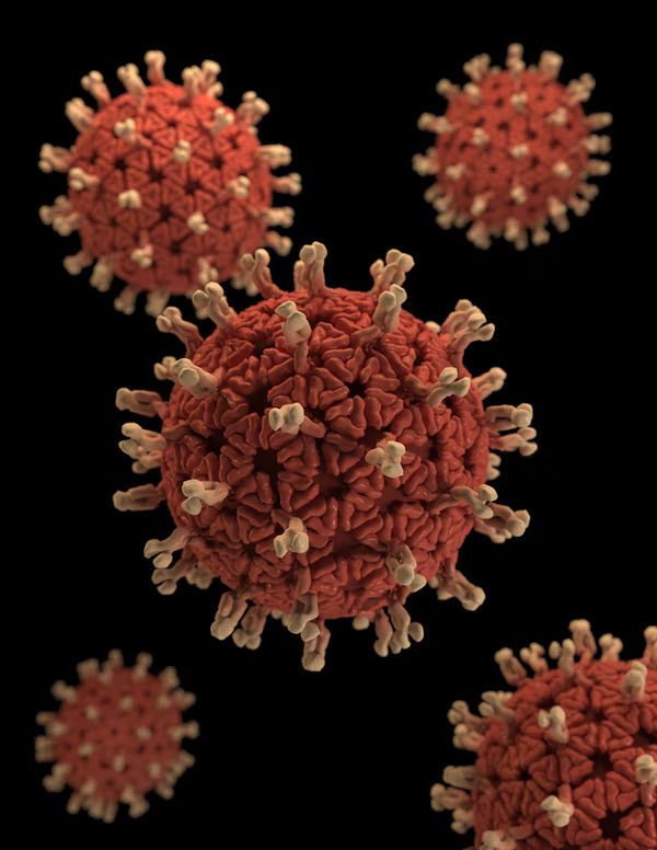 Langya henipavirus: Know symptoms, cause and spread