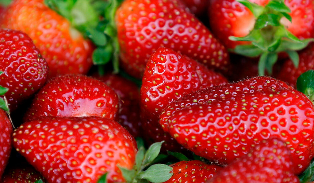 US, Canadian regulators tie hepatitis outbreak to organic strawberries