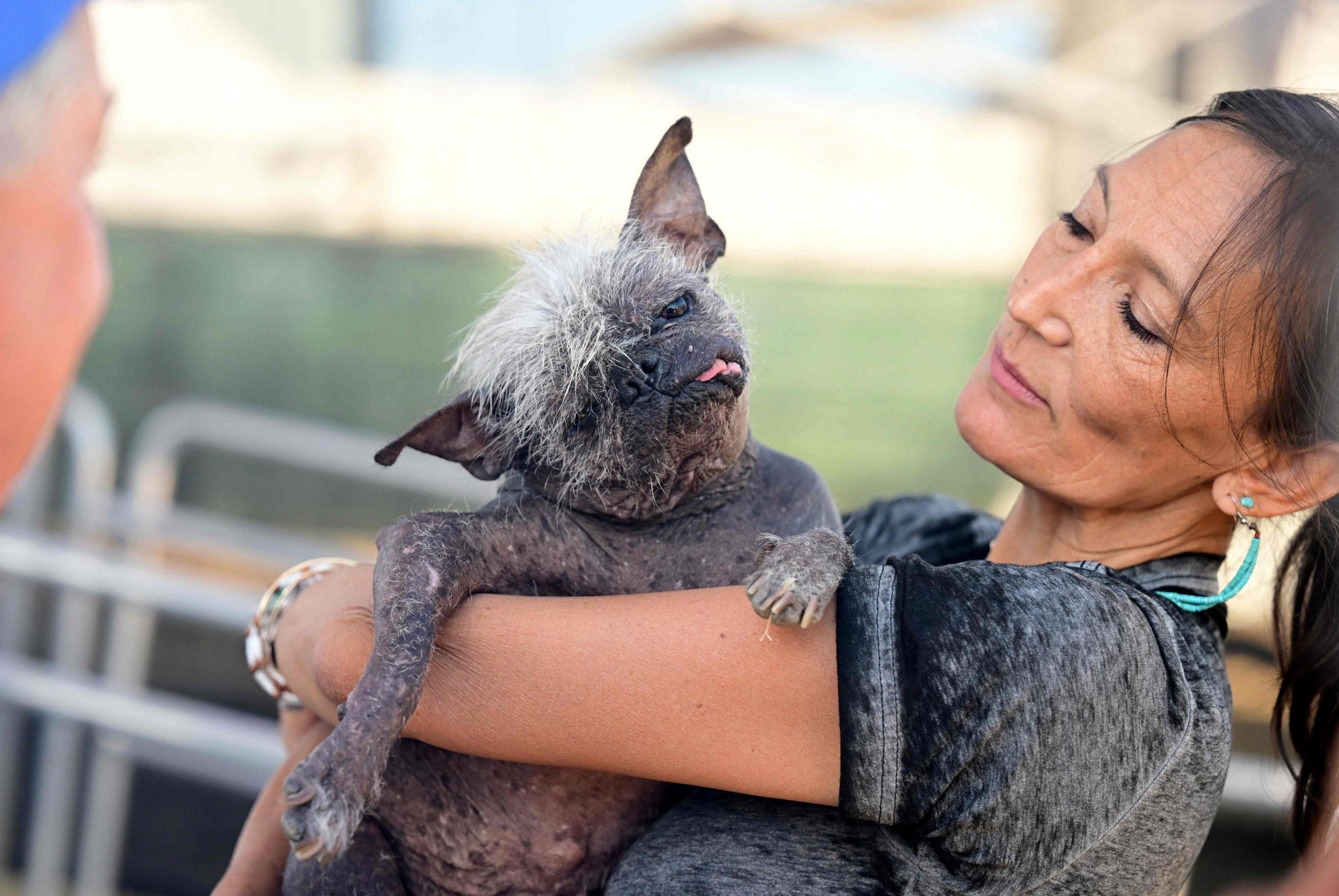Meet 17-year-old Mr Happy Face, abuse survivour crowned World’s Ugliest Dog