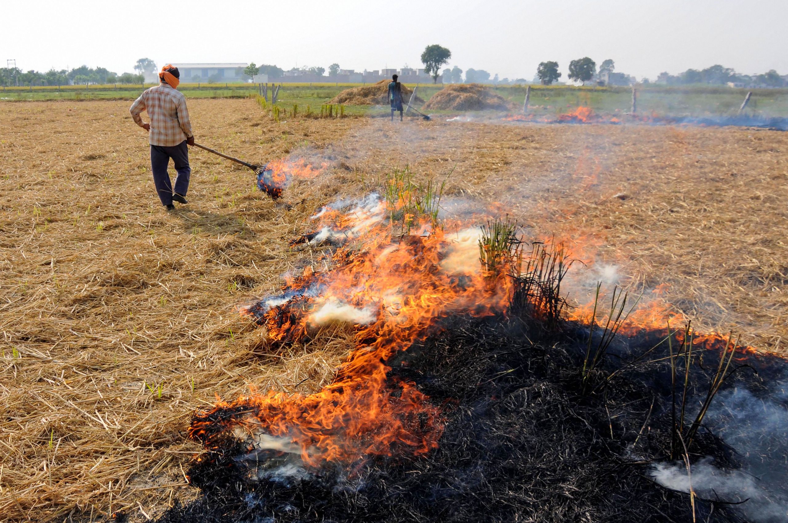 As Delhi’s air quality turns ‘poor’, contribution of farm fire likely to increase