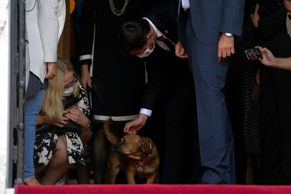 Greek Premier Kyriakos Mistotakis’ golden haired top dog interrupts news conference