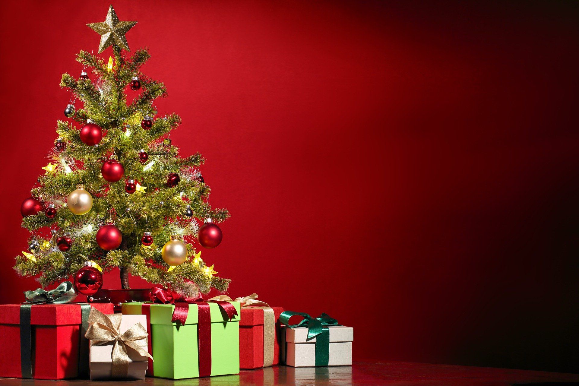 Delhiites, here’s your go-to list for buying Christmas trees
