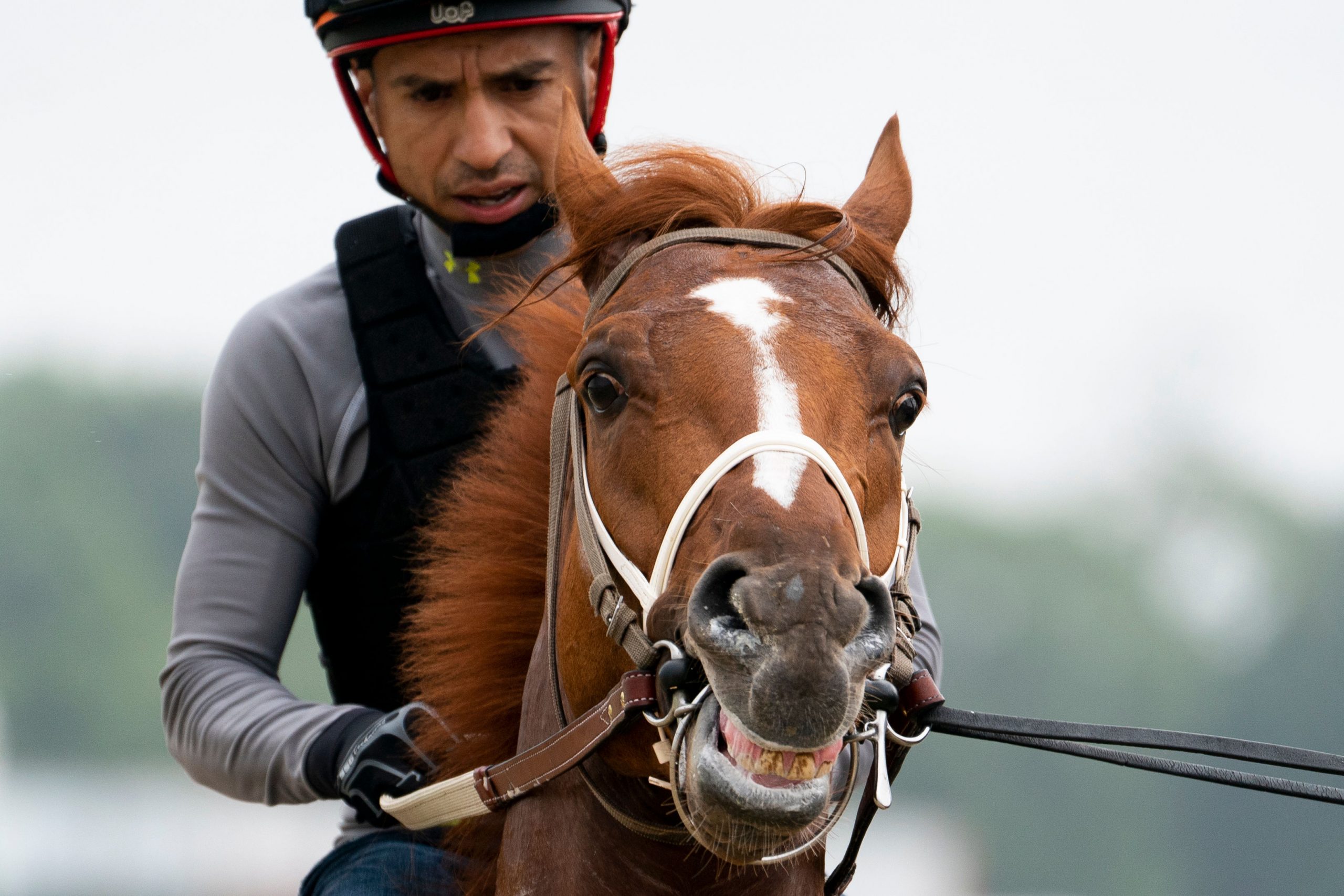 Why Triple Crown win is tough for racehorses