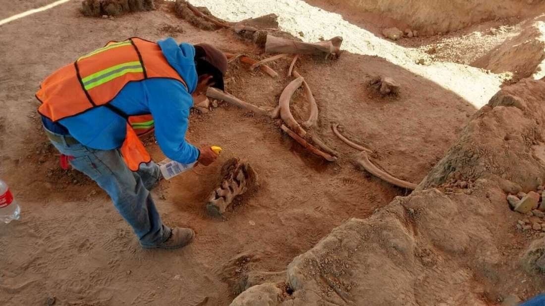 Mammoth graveyard unearthed at Mexico’s new airport