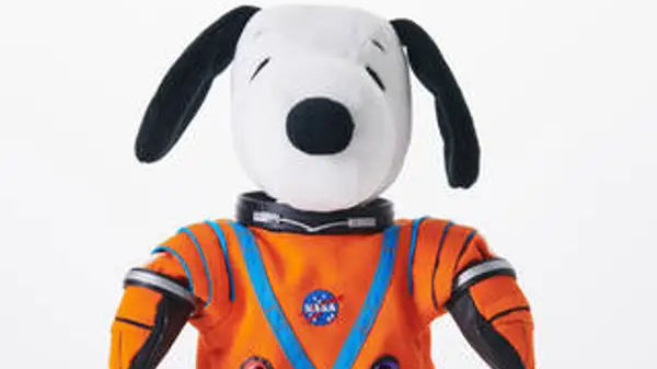 Items Artemis I is carrying: From Snoopy toy to Apollo 11 mission patch