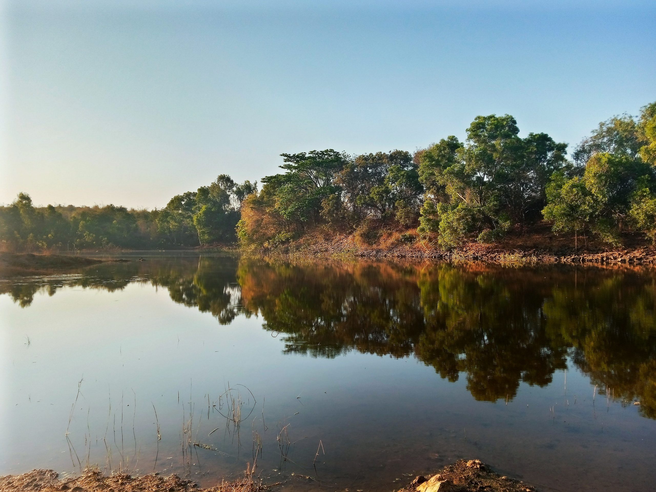 Why High Court had to intervene to save Bengaluru lakes