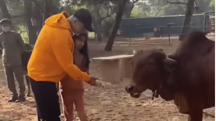 Watch: Akshay Kumar visits Ranthambore Park with daughter, shares video