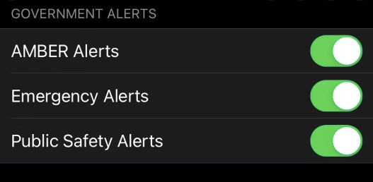 What is a public safety alert?