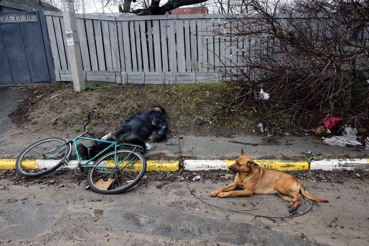 Dog refuses to abandon Ukrainian owner killed by Russian troops, photo goes viral