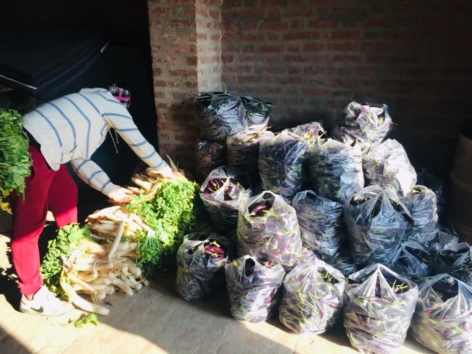 Sarso ka saag, ghee, pinnis: With love from Punjab for agitating farmers