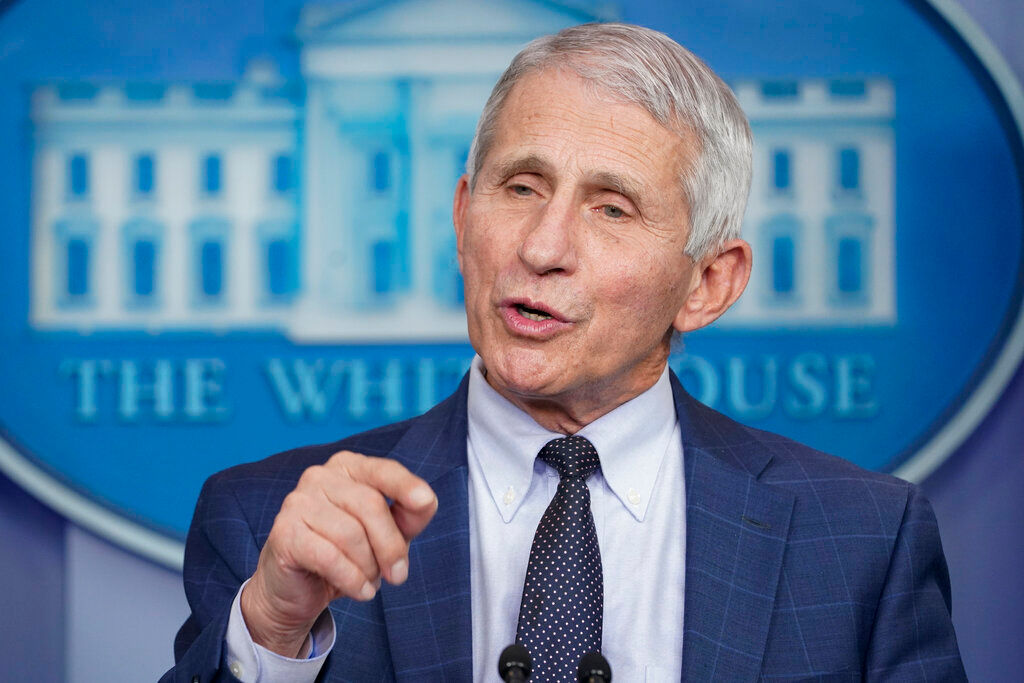 Dr Anthony Fauci wants Fox News host fired for ‘kill shot’ comments