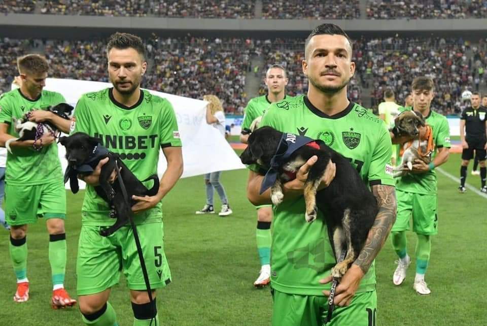 Fill the void in your life: Romanian footballers help stray dogs find homes
