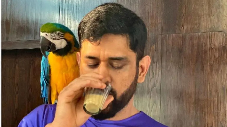 MS Dhoni enjoys ‘chai-date’ with his parrot ‘Honey’