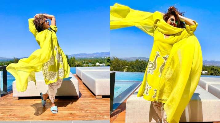 Priyanka Chopra shares sun-kissed pictures, fans wowed