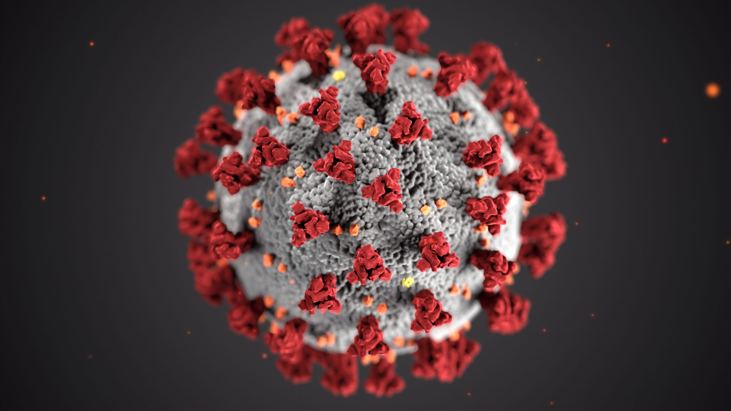 Study: Evidence linking Epstein-Barr virus to multiple sclerosis grows
