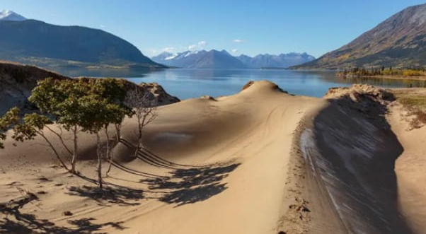 Amazon Quiz: Where is the tiniest desert of the world located?