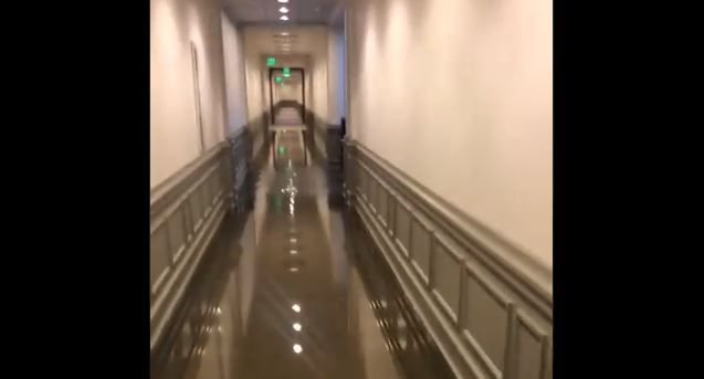 Texas State Capitol building hit by flooding from heavy rainfall. Watch