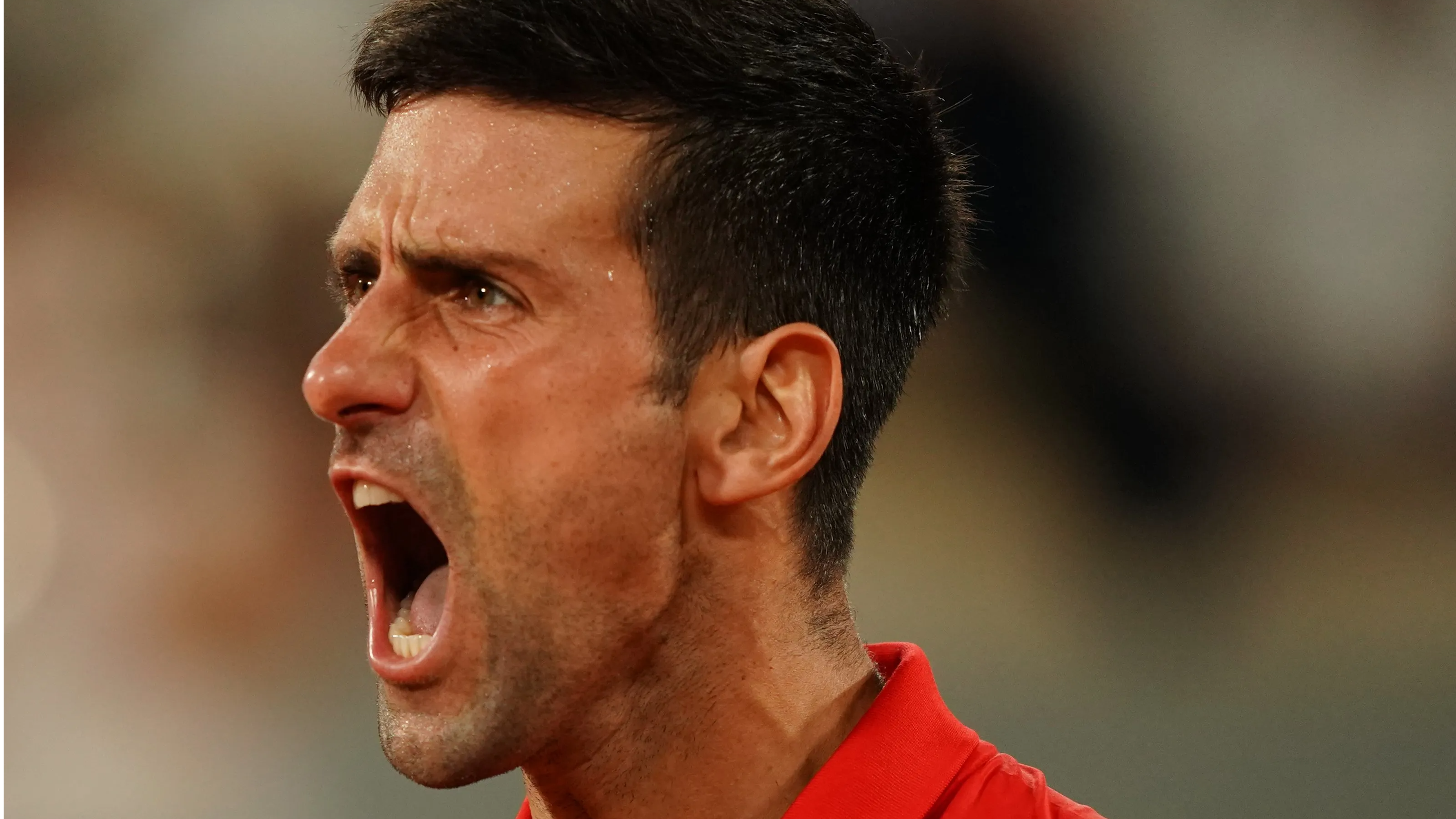 My greatest ever match in Paris, says Djokovic as he conquers the King of Clay