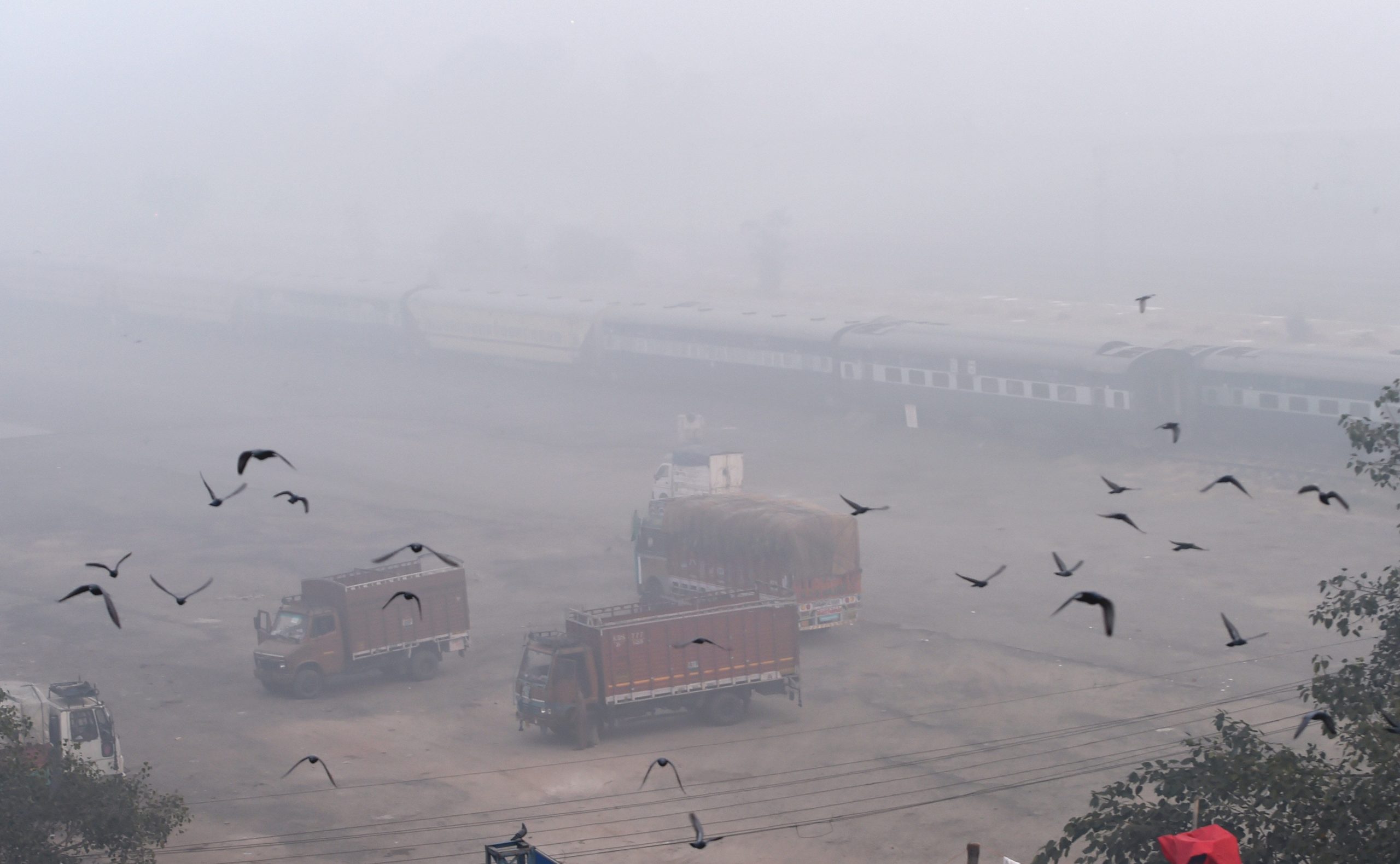 Air in Delhi turns severe on Diwali, stubble burning responsible for 32% of pollution