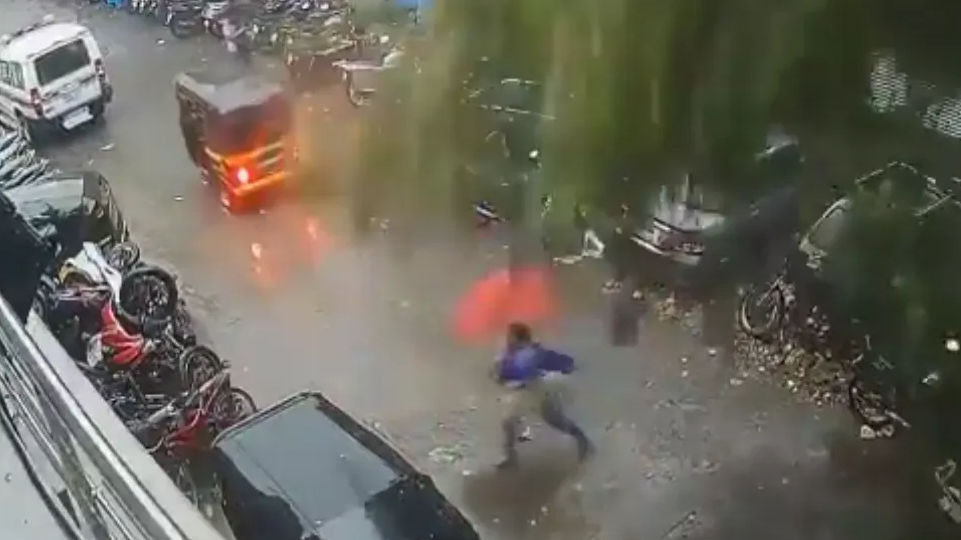 Watch: Mumbai woman escapes narrowly as tree falls due to cyclone Tauktae