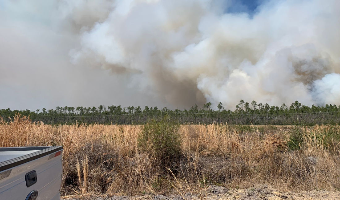 Wildfire torches 800 acres in Bay County, Florida; over 600 homes evacuated