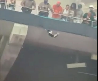 CATastrophe averted: Fans catch falling feline at Miami football game