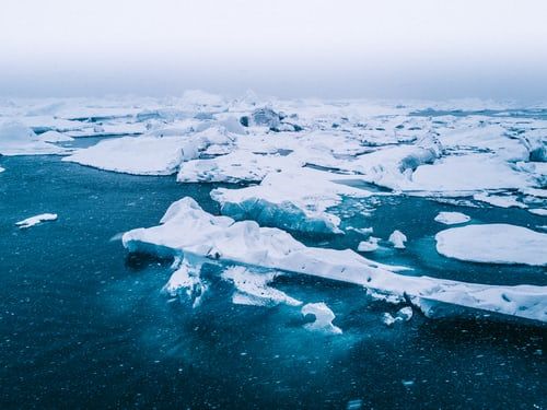 Arctic has warmed three times faster than Earth since 1971: Report