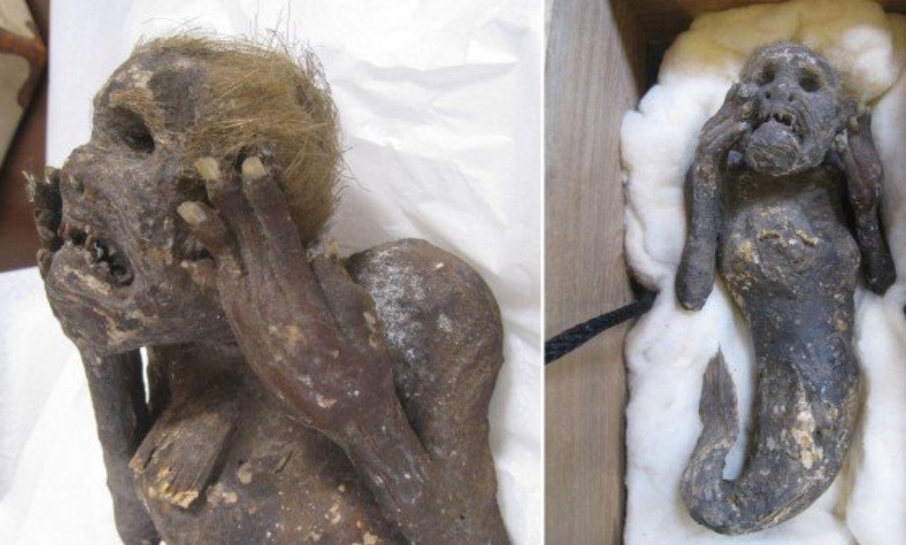 Scientists study 300-year-old mermaid mummy said to grant immortality