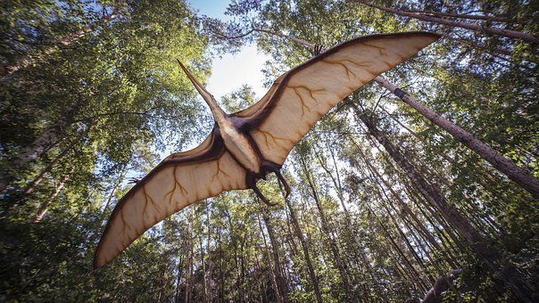 How the world’s largest flying animals supported their giant necks