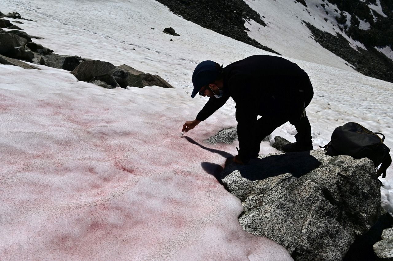 Why the French Alpine glaciers are turning pink