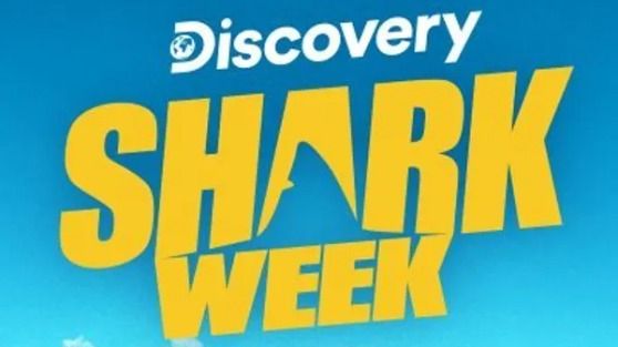 Shark%20Week%202021%3A%20How%20and%20where%20to%20watch%2C%20livestream%20the%20event
