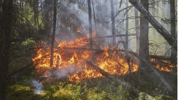5 deadliest wildfires California has ever witnessed