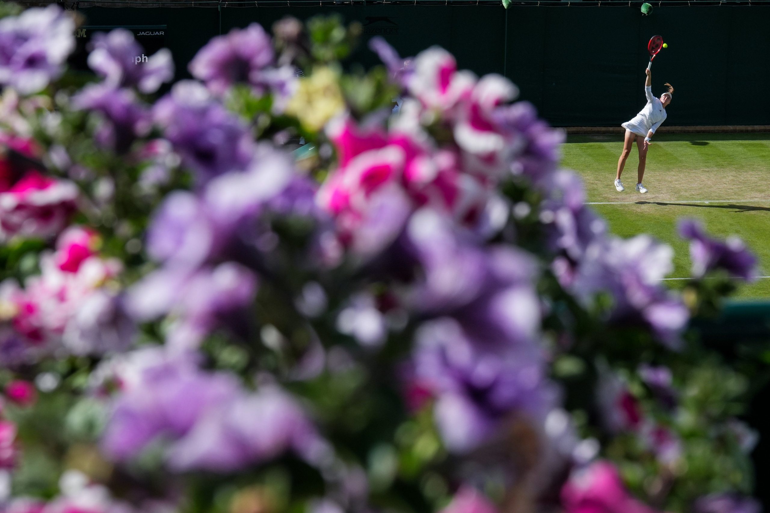 Eight women in: Wimbledon women’s quarter final preview